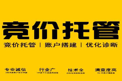 提升网站流量与转化率的关键——关键词竞价排名案例